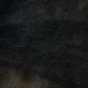 Meet your Posher, Will